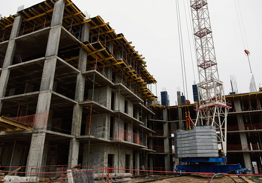 фото (1) Ноябрь 2025