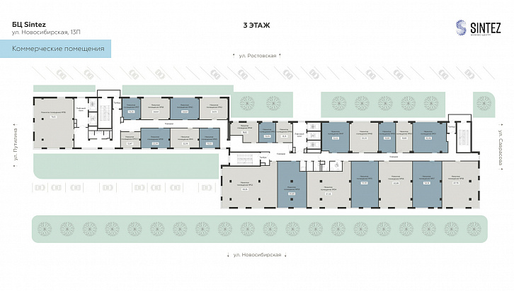Помещение 0000036137 (Sintez; ) план этажа