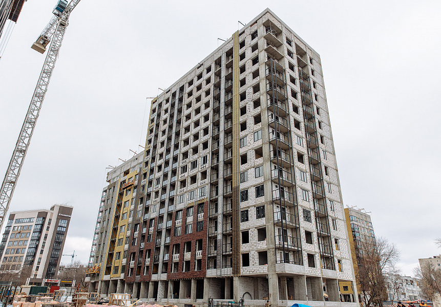 фото (1) Февраль 2023