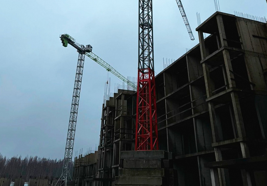 фото (1) Январь 2025