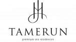 Tamerun