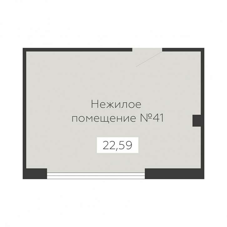 Помещение 0000036137 (Sintez; ) планировка