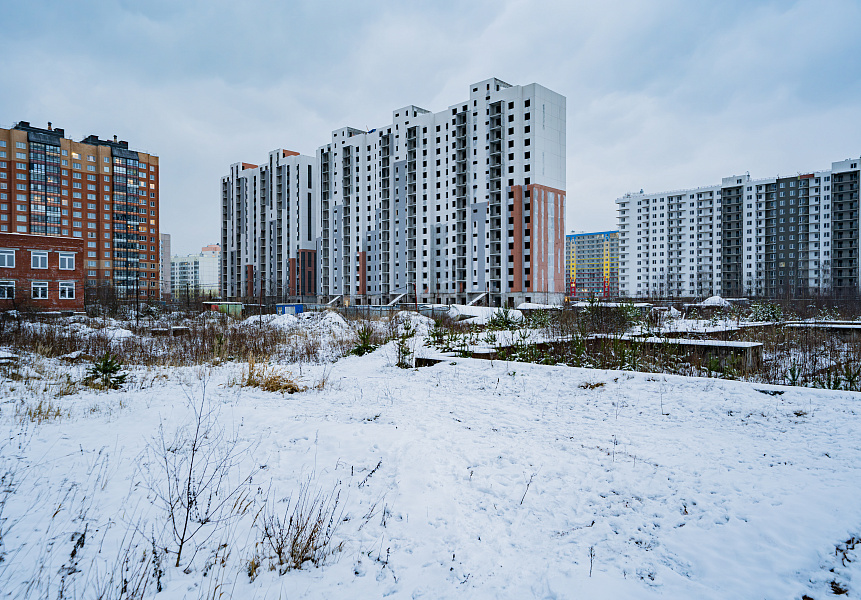 фото (1) Ноябрь 2025