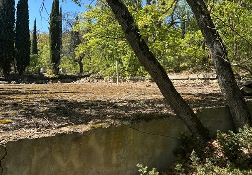 фото (1) Сентябрь 2025