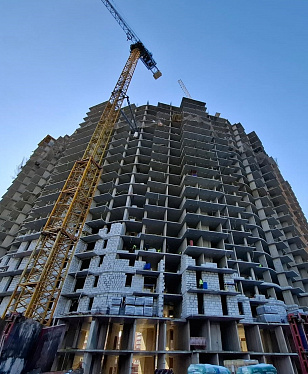 Февраль 2025