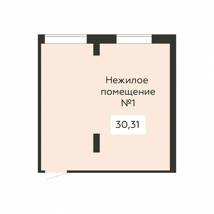 Помещение 0000021888 (Дом офицеров; ) планировка