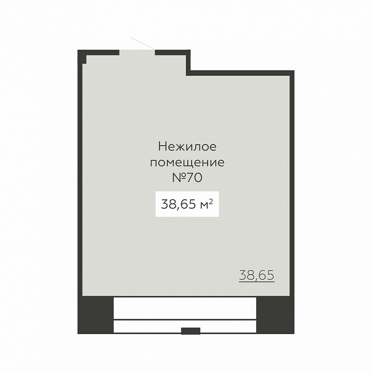 Помещение 0000030099 (SENATOR; г. Воронеж, ул. 20-летия Октября, 59) планировка