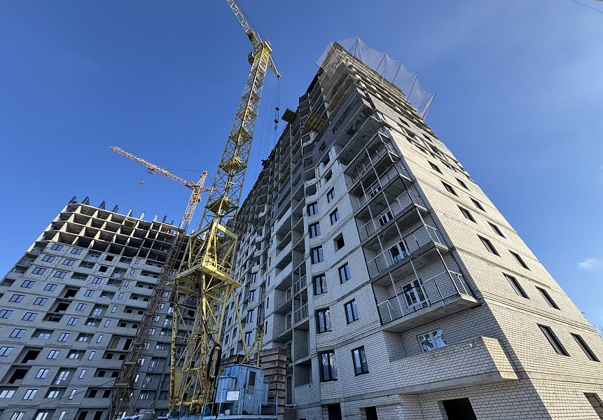 фото (1) Январь 2026