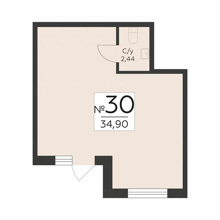 Помещение 0000042357 (Романовский; ) планировка