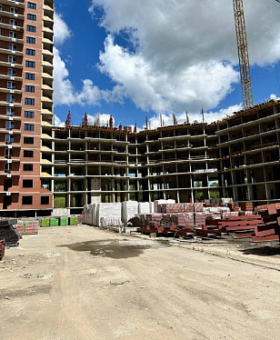 Июнь 2024